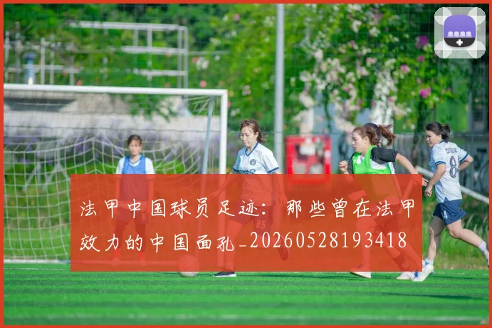 法甲中国球员足迹:那些曾在法甲效力的中国面孔_20260528193418