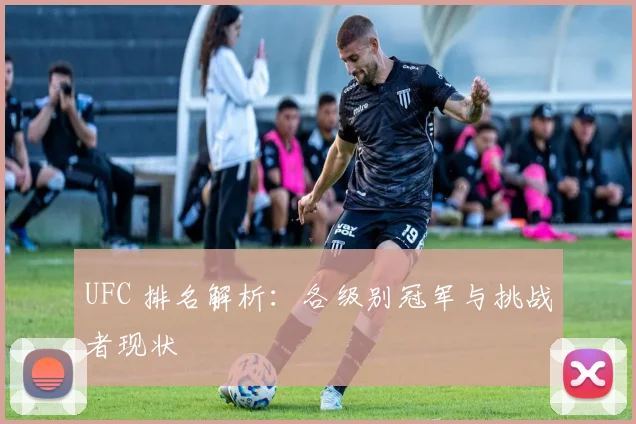 UFC 排名解析:各级别冠军与挑战者现状